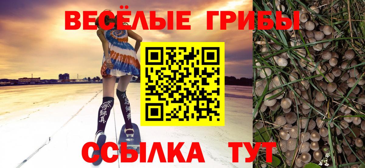 Псилоцибиновые грибы GOLDEN TEACHER  Псилоцибиновые грибы Psilocybine cubensis  Ейск  Вход с VPN 