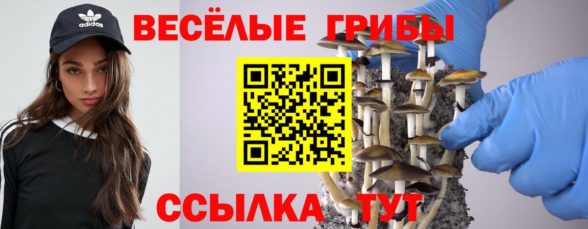 Псилоцибиновые грибы GOLDEN TEACHER Ейск