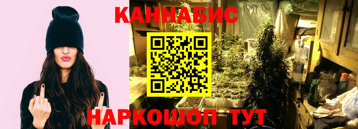 Бошки Шишки Amnesia Ейск